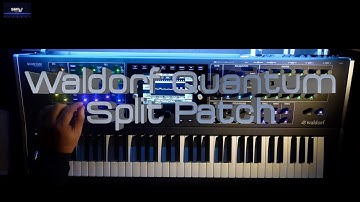 Waldorf Quantum/Iridium Split Patch - No Talk