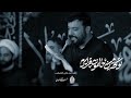 اخي ورفيقي السيد أمير حسيني 