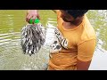 Bottle Fish Trap | Amazing Boy Catch Fish With Plastic Bottle Fish Trap (Part-2)