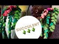Succulent plant  fake succulent  home decor  diy rupalimakes