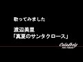 渡辺美里 「真夏のサンタクロース」 歌ってみた カラオケ 【弥子008】