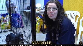 Clark County Humane Society 'Furry Feature' - April 22, 2013 by breatMCTV 205 views 11 years ago 5 minutes, 26 seconds