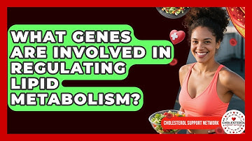 What Genes Are Involved in Regulating Lipid Metabolism? - Cholesterol Support Network