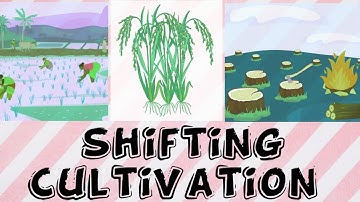 SHIFTING CULTIVATION | EXPLANATION | ENGLISH |