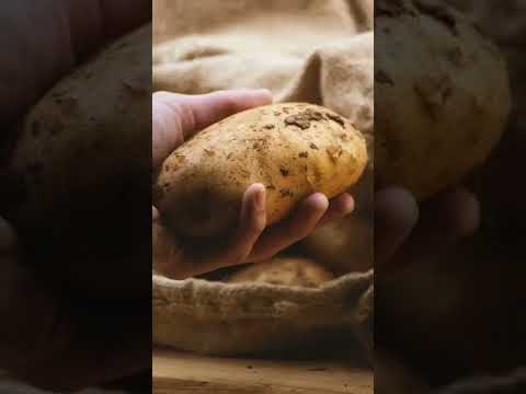 Video: Zgodovina francoskega krompirja