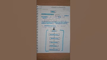 B.com and BBA Monetary Economics, Evolution of money #shorts #ytshorts #b.com #bba #short #mon.eco.