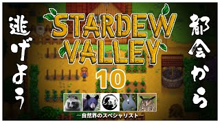【#stardewvalley】田舎でスローライフ ~10日目~【毛玉屋】