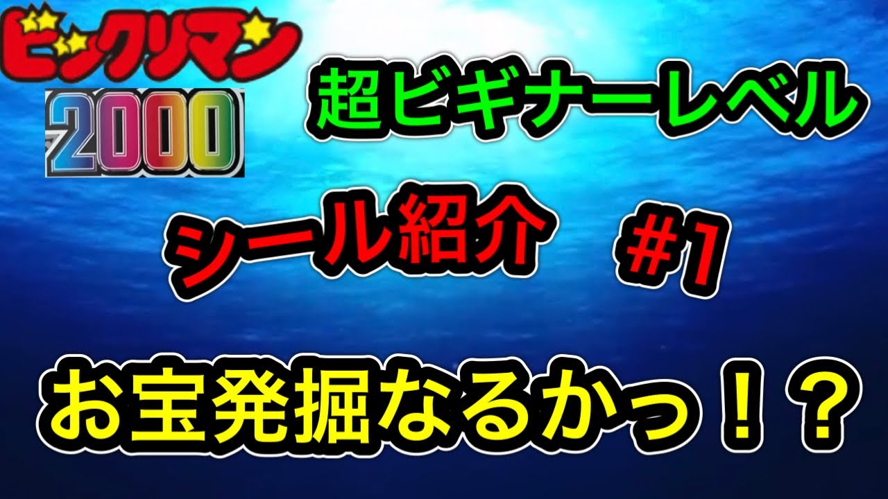 ビックリマン2000 コレクション初披露 ！知識0が適当にファイリング編