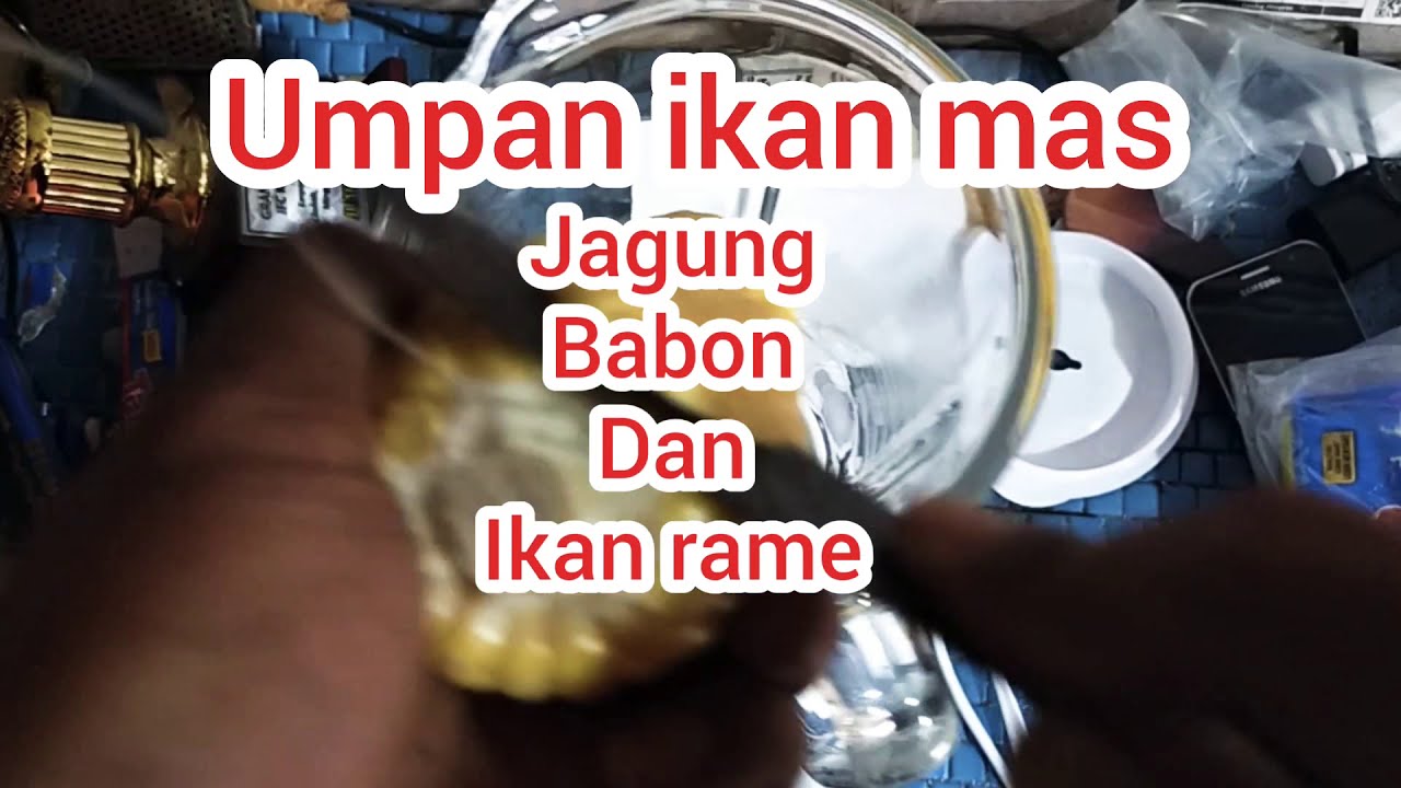 Umpan JAGUNG BABON dan RAME esen oplosan ikan mas