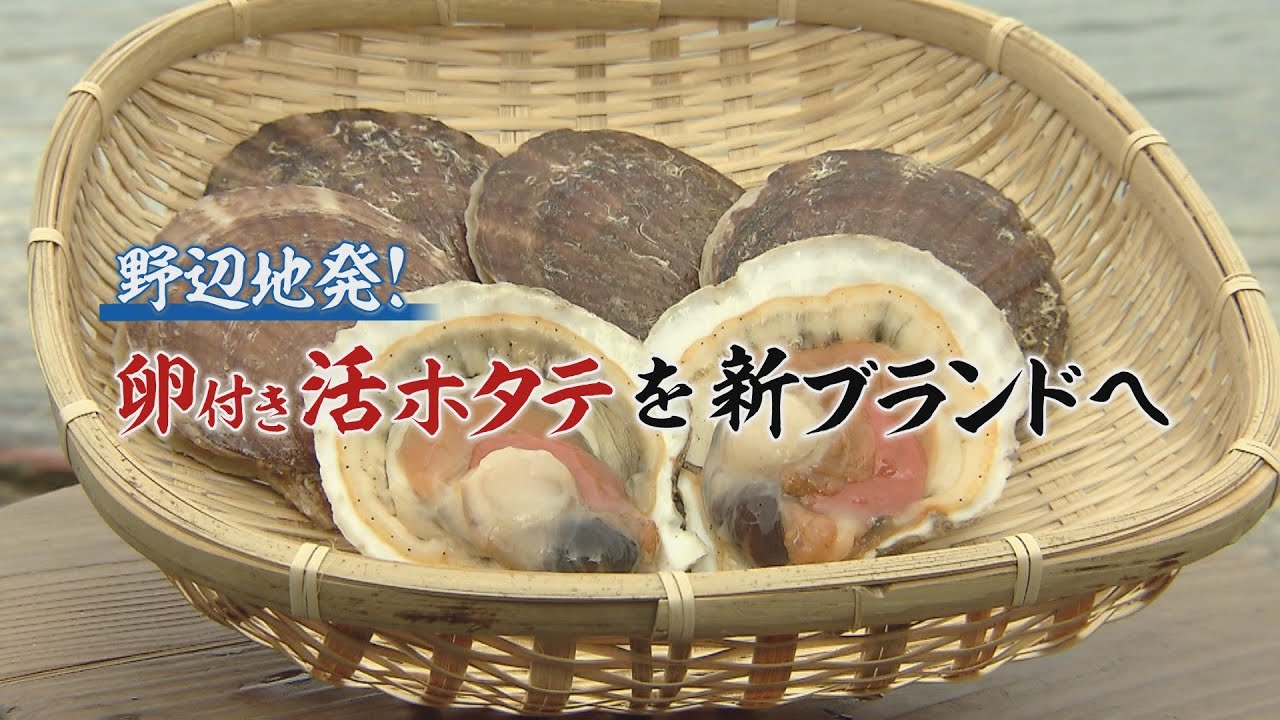 まっちゃん　ホタテ30 まっちゃん ホタテ30 製品紹介｜マタツ水産