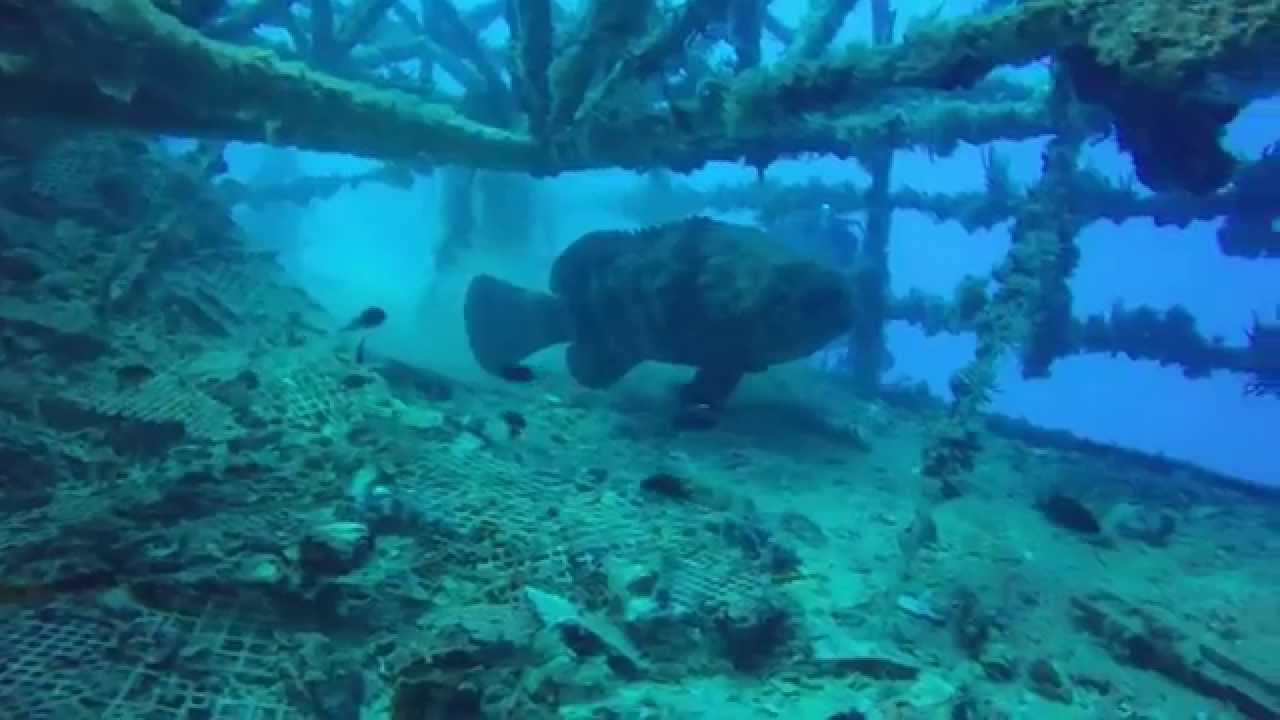 Scuba diving on the Vandenberg Wreck in Key West, Florida YouTube