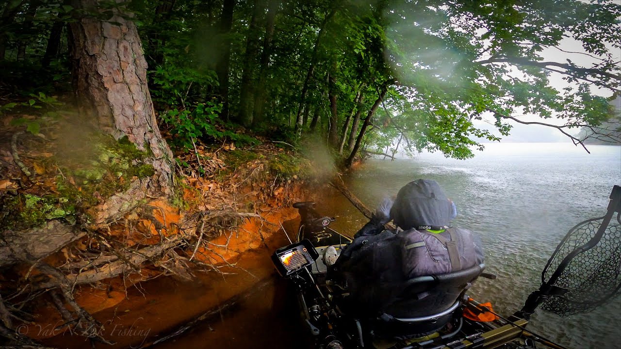 A Snake, Storm and Kayak  | Lake Hartwell Kayak Bass Fishing