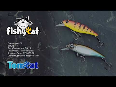 Fishycat Tomcat 67SP-SR Анимация/ Описание/ Характеристики