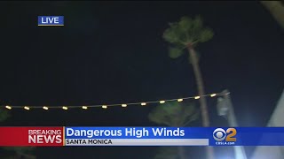 Wild Winds Whip Through Southland Causing Misery To Allergy Sufferers