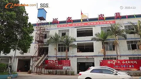 SGS Authentication Video in 2020