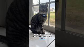 Name that artist? #cat #catshorts #catmom #funny #pets #animals #fyp #trending