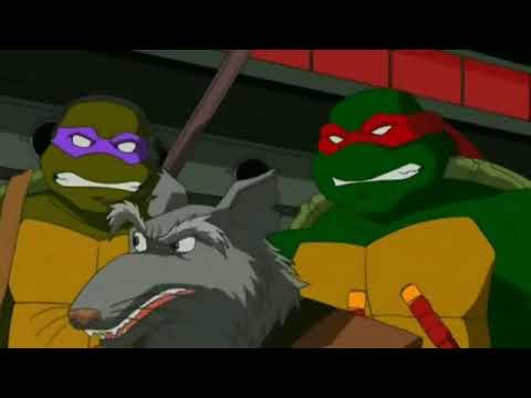 Wideo: Wojownicze Żółwie Ninja