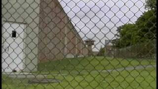 Prison Pups - PREVIEW