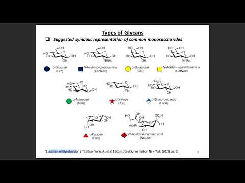 Video: O-glycans Yang Belum Matang Yang Diiktiraf Oleh Makmal Glikosoreptor CLEC10A (MGL) Disebabkan Oleh 4-hydroxy-tamoxifen, Tekanan Oksidatif Dan Kerosakan DNA Dalam Sel-sel Kanser Pay