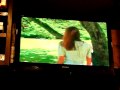 薔薇の刺青.avi