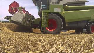 [ GOPRO ]  {HD} Moisson de Blé 2015 / Harvest of wheat 2k15