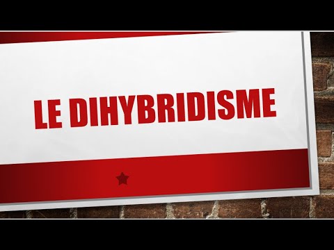 Biologie Génétique : Le dihybridisme de Mendel