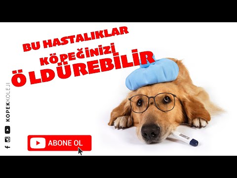 Video: Boyama Akvaryum Süslemeleri