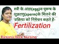 Fertilization in hindi  ranjana rock      fertilization of egg  sperm in human