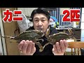 豊漁で安いワタリガニ!贅沢に2匹つかってカニチャーハンを作るよ!!見た目はどうかな?笑