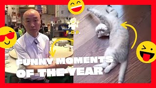 The Real Funny Moments Of The Year Compilation  Part 1 by Chichoe jin funny