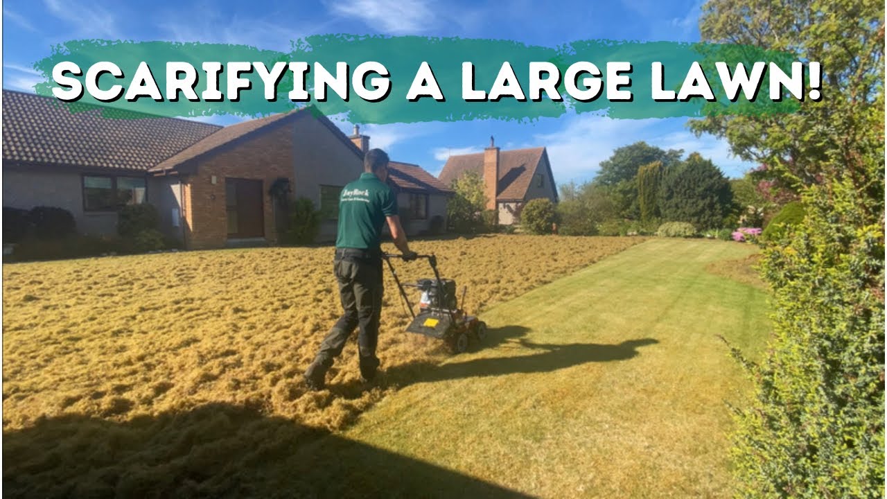 Scarifying a large mossy lawn! // biggest one yet // - YouTube