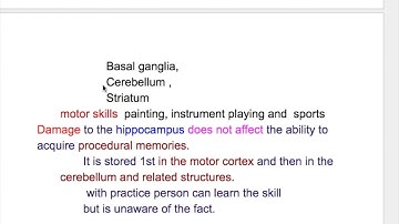 LTM (types & storage of LONG TERM MEMORY)