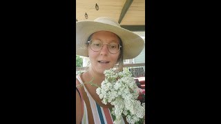 Late June Prairie Forage