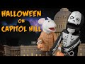 Halloween on capitol hill