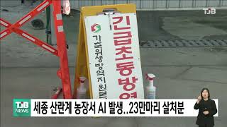 세종 산란계 농장서 조류인플루엔자 발생..23만마리 살처분｜ TJB 대전·세종·충남뉴스