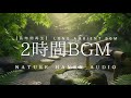2 Hours of Japanese Water Garden Sounds | 和風庭園 ししおどしの水音 – Relaxing BGM