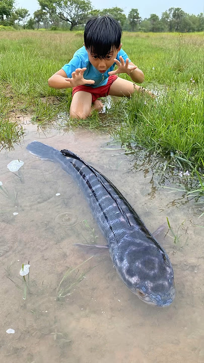 Survival Skills: SIMPLE and USEFUL with big fish #bushcraft #camping #outdoors