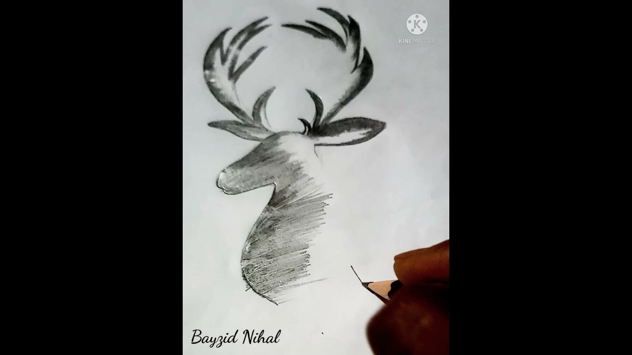 pencil sketch drawing Short/ how to drow a Dear /Dear animal drowing ...
