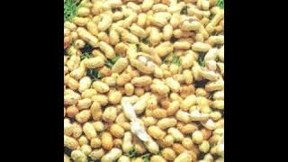 Leonard Dembo  Nzungu Ndamenya