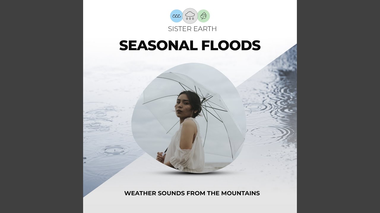 Tranquil Weather YouTube