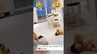 Funny Video Children Father