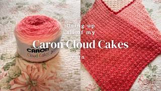 Using up all of my Caron Cloud Cakes Yarn!