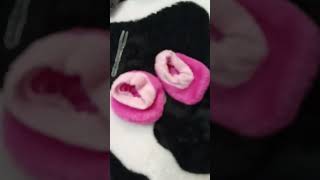 Вечер Глазами Басика