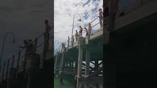 Jetty jumping Australia