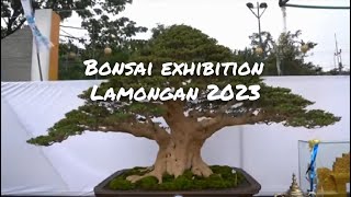 Footage of bonsai exhibition, Lamongan  2023