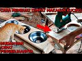 CARA MEMBUAT TEMPAT MAKANAN KUCING DARI KAYU | CEPAT DAN MUDAH