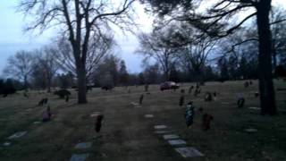 2011-12-29_16-41-50_714