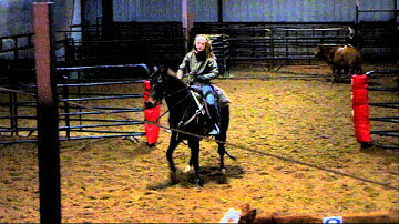 Smartys Sonscoot - sorting practice 5 - Valley View Ranch