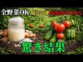 「すべての野菜に使える魔法の肥料！成功率100％の驚きの結果とは」| 雑草対策