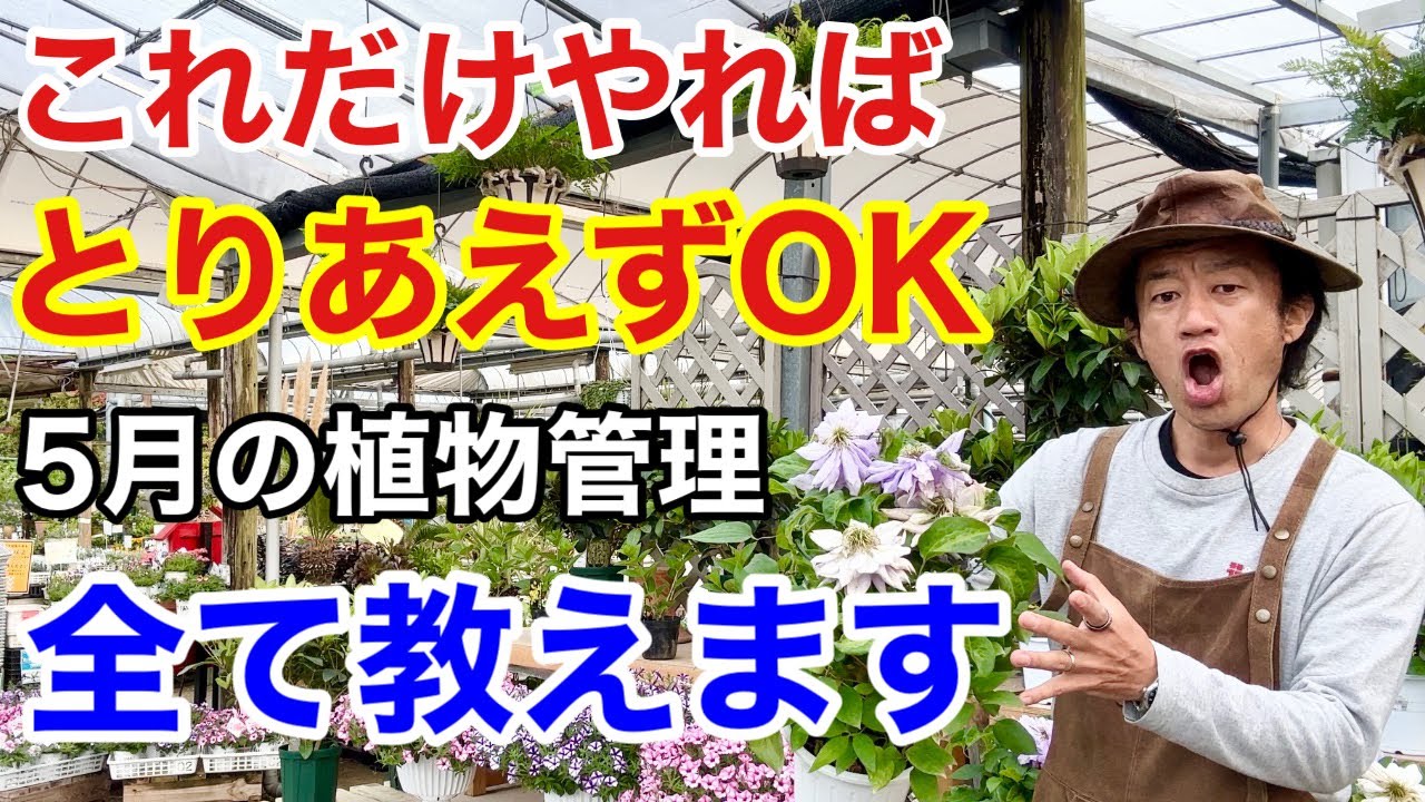 最低限これだけ！植物別園芸作業ガイド教えます　　　カーメン君園芸ガーデニング初心者